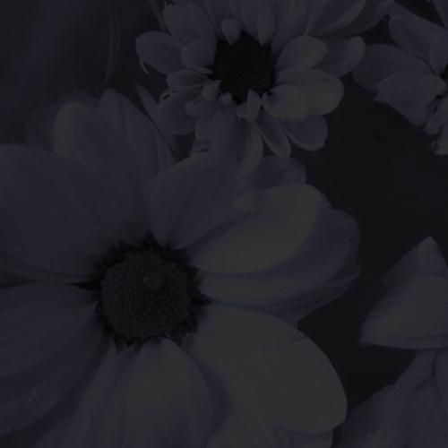  من دلم واست تنگ میشه اره کسی مث من تو عاشقی