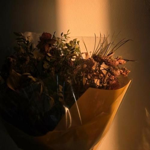  همین راهو بری بهتره ها من تازه شدم سرپا