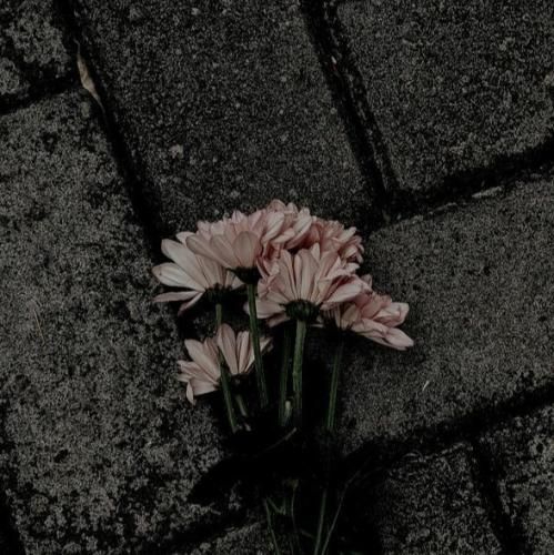  نمیخوام که بشناسمت اینا همه از رو احساسمه نمیخوام دلم وابسته شه