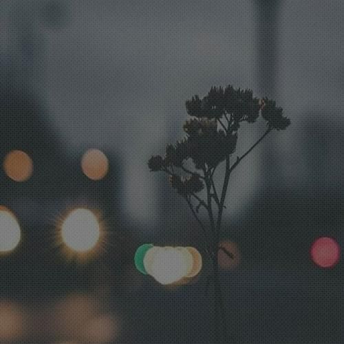 دلارام سرمست