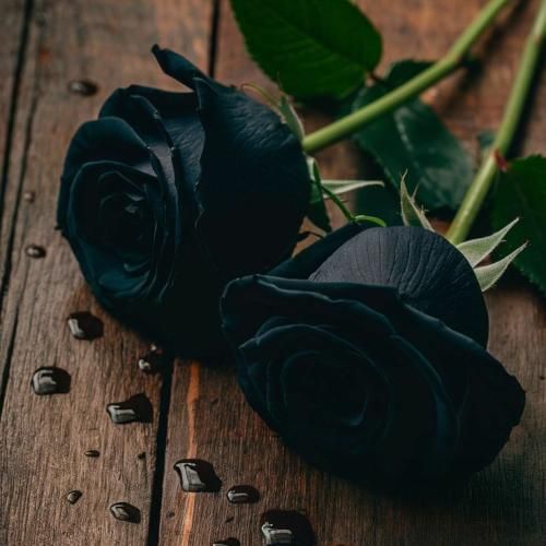  اینو با دل بیقرار نوشتم واسم مهم نی دیگه حاصلش چی دراد