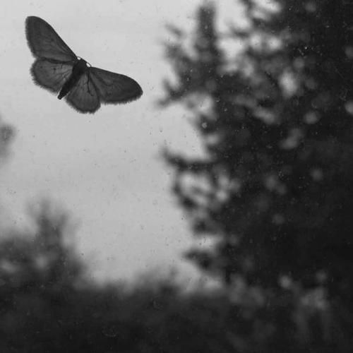  هر در که زنم صاحب اون خانه تویی تو