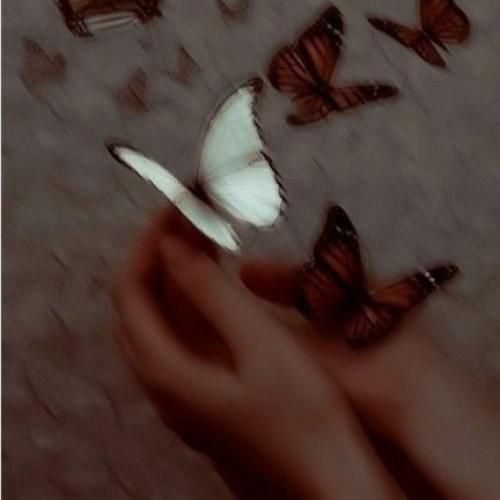 رومن سیس من نیست کاپل دن سیس من نیست