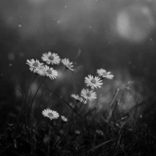  چقد باهات حرف دارم و چقدر خرابم کاش لااقل بودی