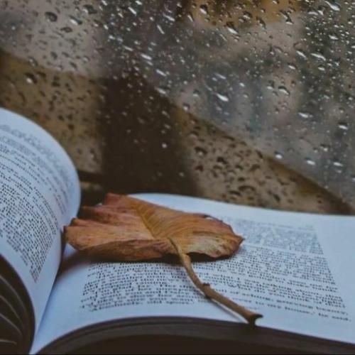 منو ول نکنیا تنمو به آدمکا نسپریا خاطرات بدمونو نشمریا