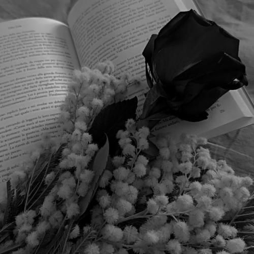 ع من بابت هیچی توضیح نخواید هرچی میخوای ببر