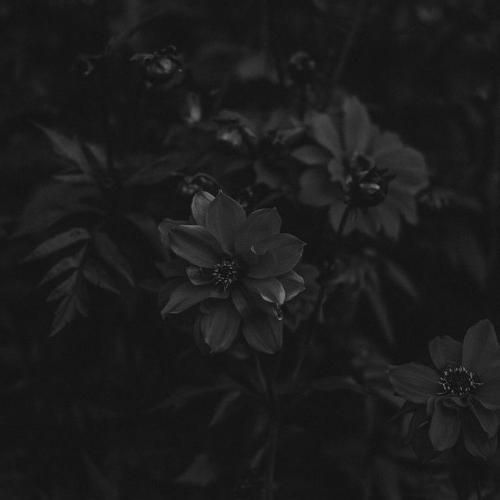 مود خوبت چرا نیست بعد تو باید برم پیش تراپیست هر شب