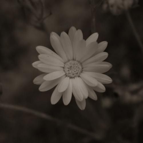  ا وقتی دستاتو ول کردم پونصد بار اینستاتو چک کردم