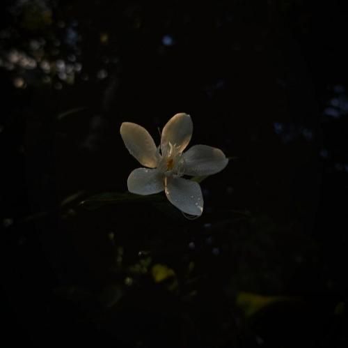  کی میگه آسمون همه ماه داره