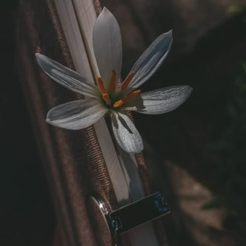 دلم تنگ شده واسه کتک کاریا آشتیا و پارتیا