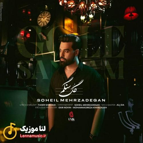 سهیل مهرزادگان گل سنگم