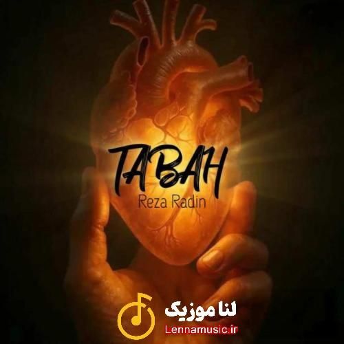 رضا رادین تباه