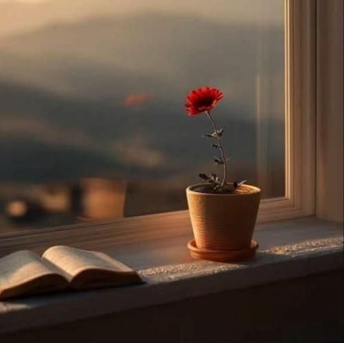  وای چقد دلم میخواد بغل بغل بغل بغل