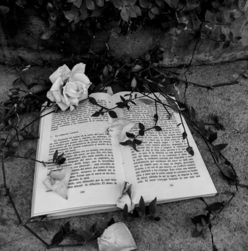  یکنواخت شده واسم‌ همچی گفتن دختررو میخوای تو یادت رف