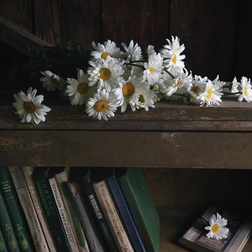  من هربار با تو بچه میشم عین عید هر سال