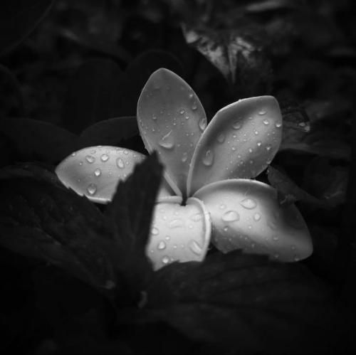  چشات دروغ میگن هر دفعه میدونم پهلوت میخورم هی صدمه