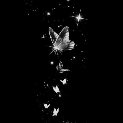 مقصود تویی کعبه و بت خانه بهانه است