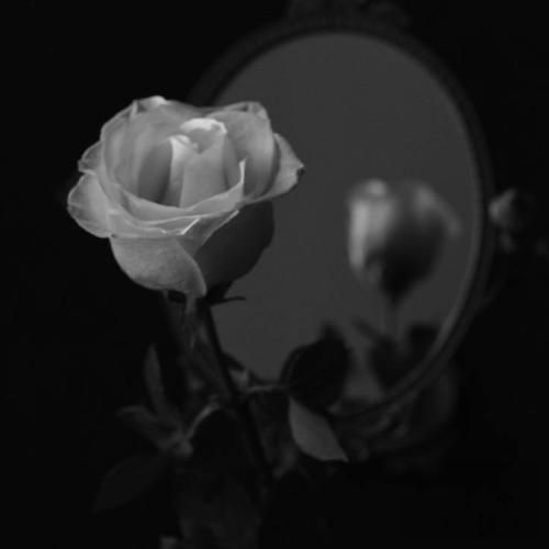 یا روحی یا حبیبی یالله یالله یالله