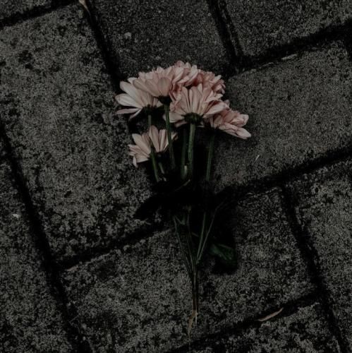 ولی من که شکستم بابا همه رو گذاشتم و رفتم