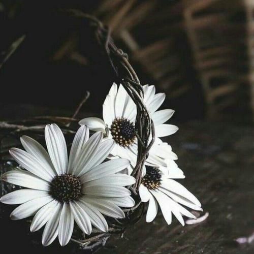 الان کجایی نداری ندارمت