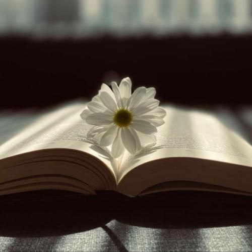  گفتی میخوامت مرد و مردونه دلمو بردی