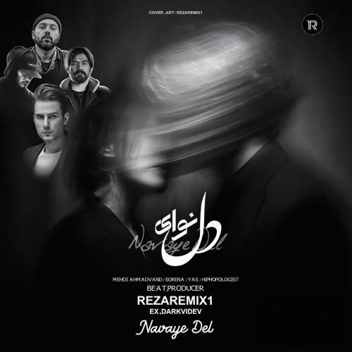 رضا نوای دل