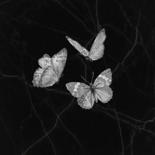  چرا هیچیش کم نی وقتی تو بغل تو میبره خوابم