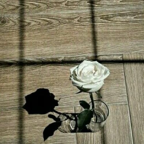 چه حس خوبی بغلت داره منو خوابم کن