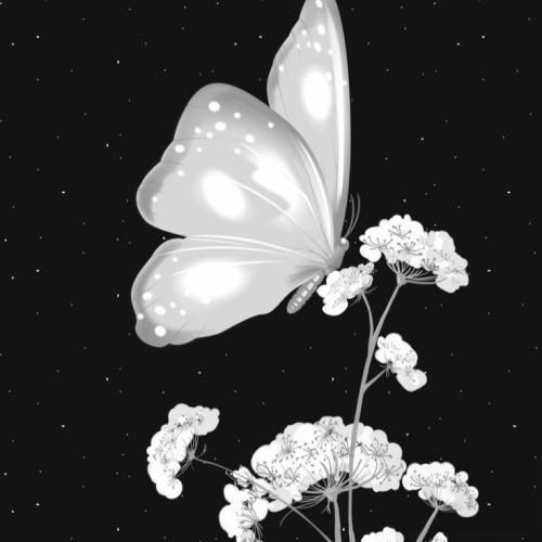 منکه همه ی شهرو پریشون میکنم بخاطرت بیا