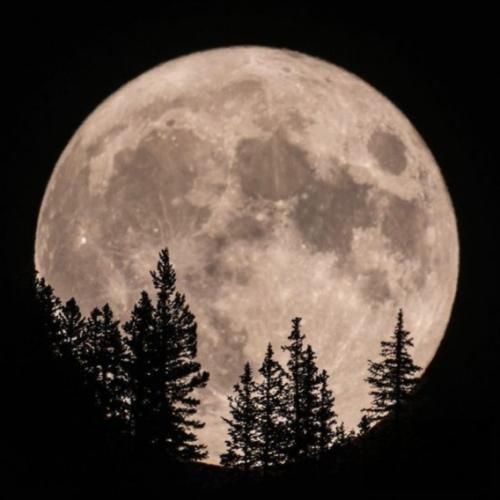  من یه دختر شهریوری خاصم هم منطقی هم خدای احساسم