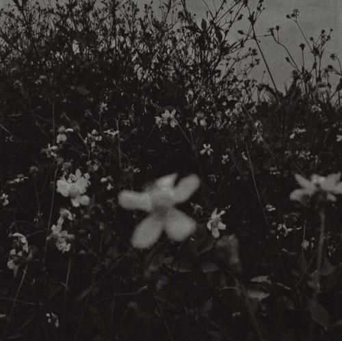 ما بینمون فوق العاده بود ولی الان دیگه نیستی