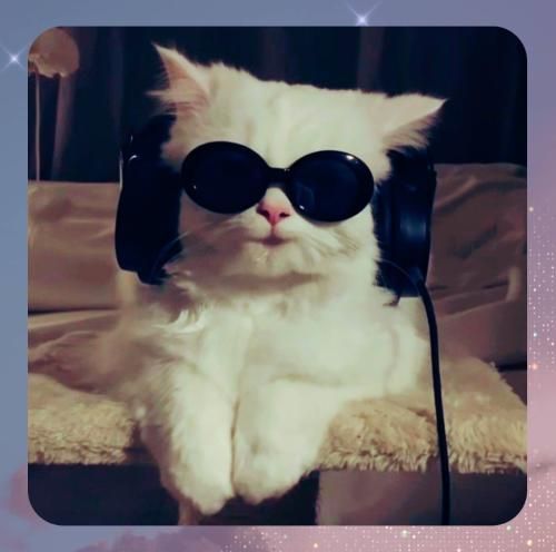 دیجی آرش کست فلای ۵