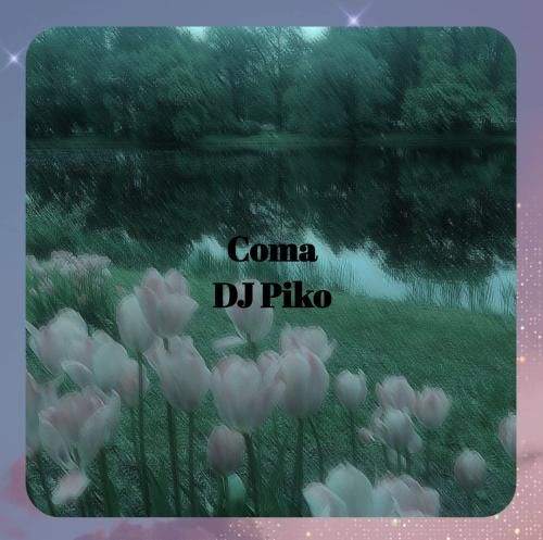 دیجی پیکو کما