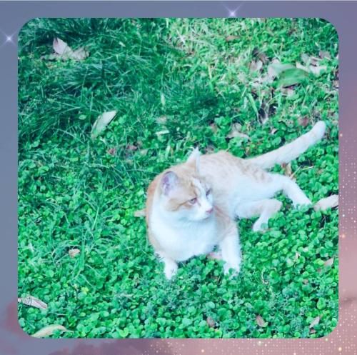  فقط دل منه که میشکنه مال تو که از سنگه