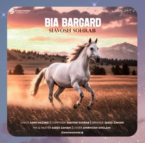 دانلود آهنگ بیا برگرد از سیاووش سهراب