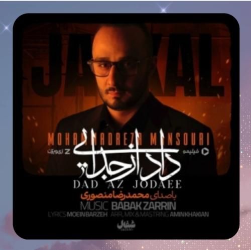 محمدرضا منصوری داد از جدایی