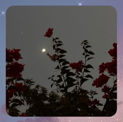 دانلود آهنگ واس ما نکن اولدوروم بولدوروم چون حاجی من دانلود آهنگ واس ما نکن اولدوروم بولدوروم چون حاجی من