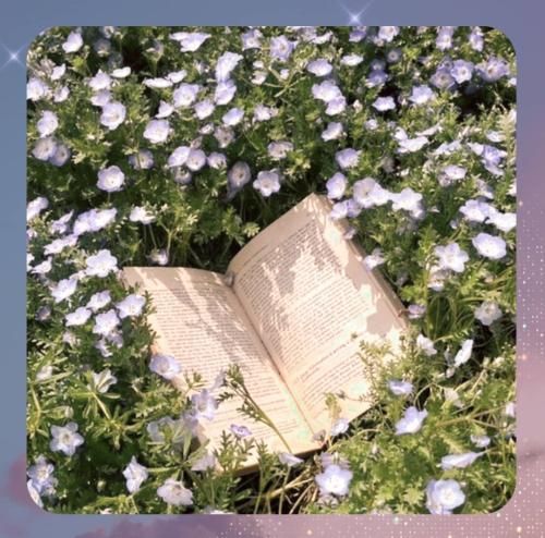 دانلود آهنگ به دریا نگفتم که افتادم از پا