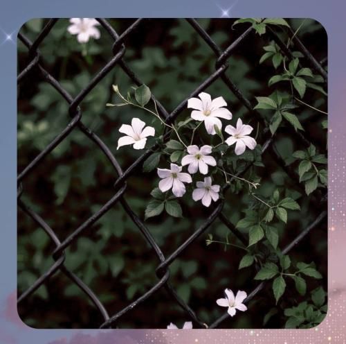 دانلود آهنگ دیگه یادم نی حال خوب چه شکلی بود خدا بسه