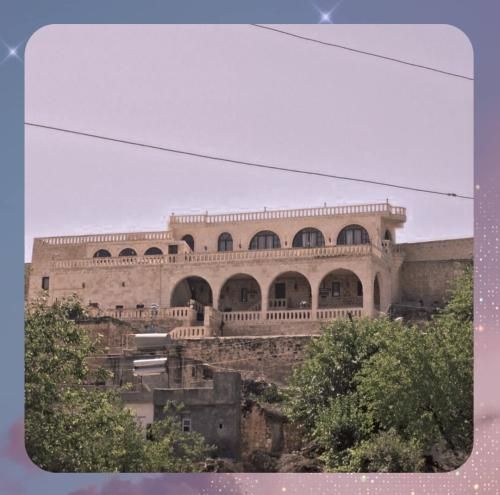 الان که فاصلم تا مرگ دو قدمه فهمیدم دلم