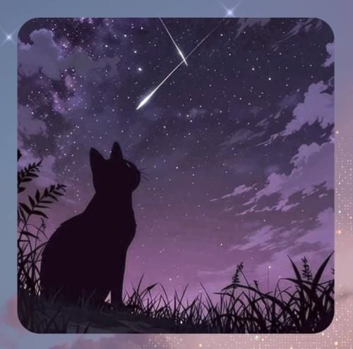 دانلود آهنگ رفاقت با شما ها دو سر سوخته انقدر لاشی بازی