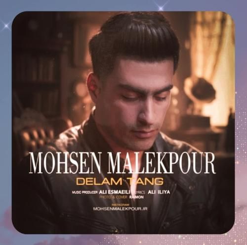 دانلود آهنگ دلم تنگه از محسن ملک پور