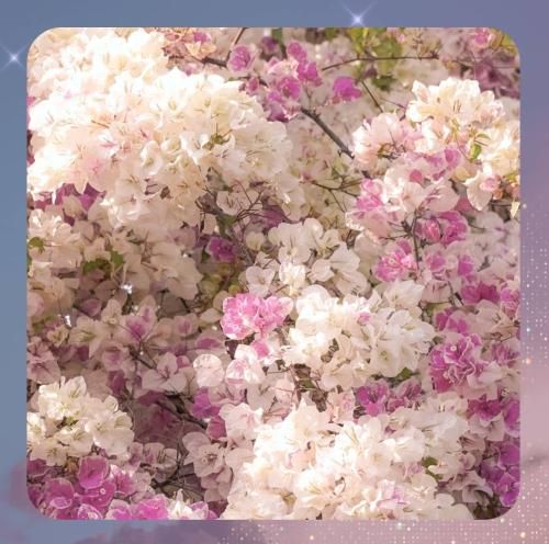 دانلود آهنگ من قلبوم یه نفر دارو ندارم یه نفر