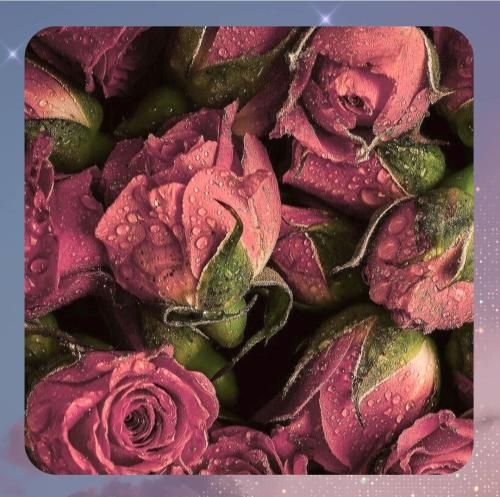 دانلود ریمیکس مگه میشه از عشق اول گذشت – هوش مصنوعی