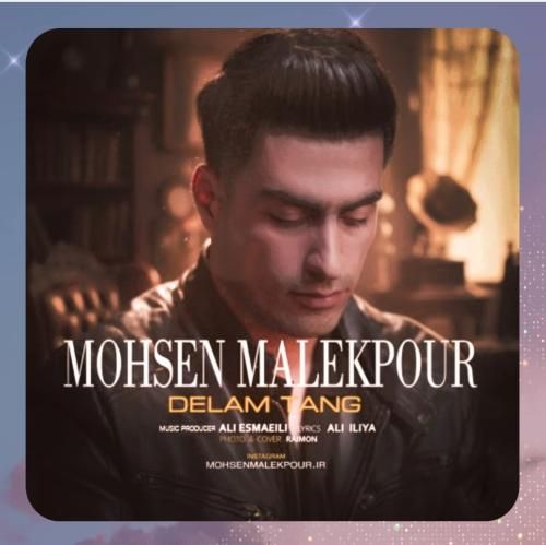 دانلود آهنگ دلم تنگ از محسن ملک پور