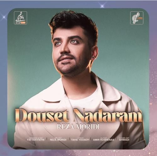 دانلود آهنگ دوست ندارم از رضا مریدی