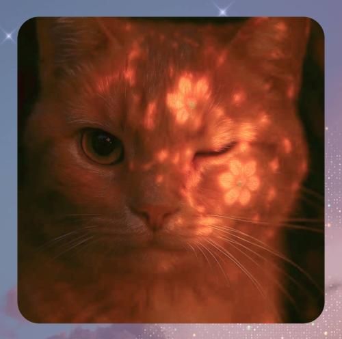 دانلود ریمیکس قبول من اصلا نبودم مواظب تو ولی تو مثل