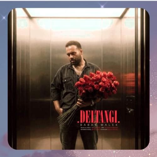 بابک ملک دلتنگ