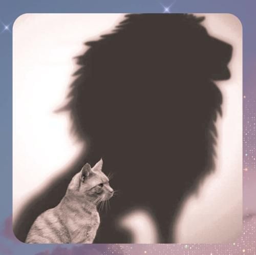 دانلود آهنگ یکم‌ حالم بده کوکئین زدم با یه خره