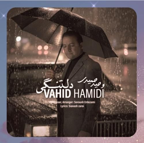 وحید حمیدی دلتنگی